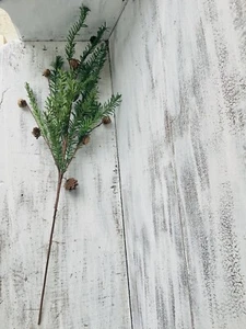 Kiefer mit Tannenzapfen Grünzeug Pick, 32" - Bild 1 von 10