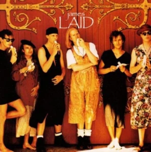 Laid Laid - Picture 1 of 12