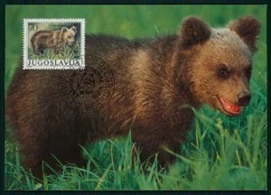 JUGOSLAWIEN MK WWF FAUNA BÄREN BÄR BEAR MAXIMUMKARTE MAXI CARD MC CM gz54 - Bild 1 von 2