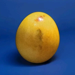 Huevo de Piedra Amarillo Terroso Colorido Vintage Retro Coleccionable - Imagen 1 de 4