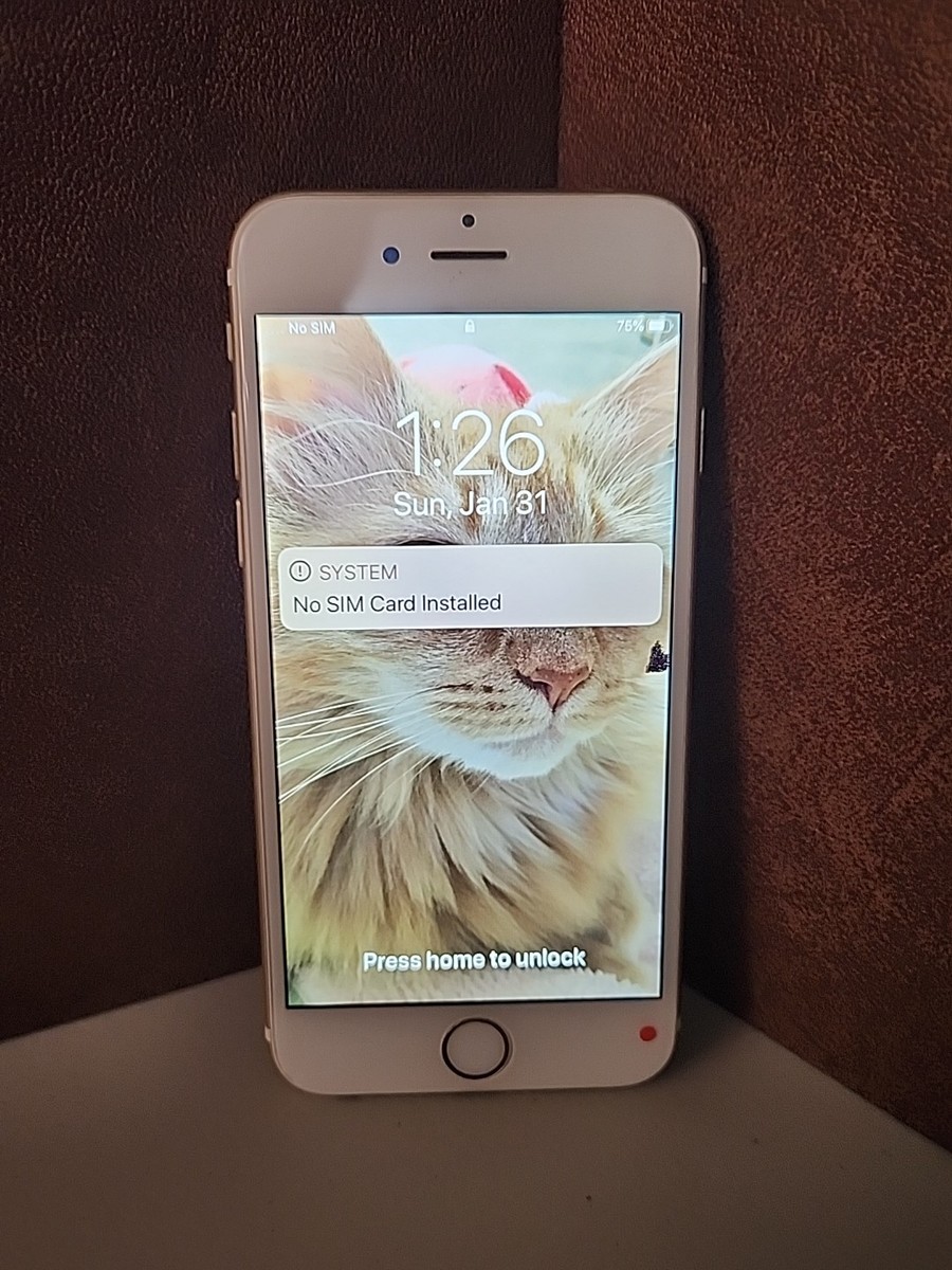 ⭐️f⭐️Apple iPhone 6s ゴールド Apple iPhone 6S 32GB Gold Unlocked | Rare iOS 13 (13.6.1