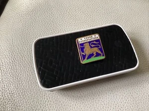 Insignia vintage de esmalte de jóvenes conservadores - Imagen 1 de 4