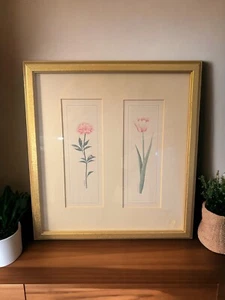 Bon Art 1998 Tulip and Peony Elegance by C. Bucha Framed Art Print 15”x 15” - Picture 1 of 12