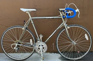 Vintage Panasonic Sport CS Road Bike 59cm Frame Shimano Groupset Gray - Picture 1 of 21