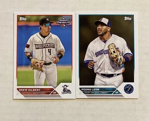 HOUSTON ASTROS 2023 Topps Pro Debut BASE TEAM SET (Drew Gilbert & Pedro Leon) - Picture 1 of 2