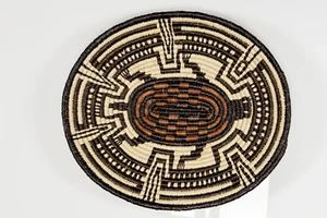 Galapagos Tortoise Basket Plate - Picture 1 of 13