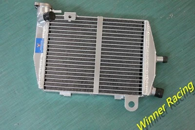 Radiador derecho de aluminio para Honda SP1 RVT1000R RVT 1000 R RC51 2000-2001 CON TAPA Foto 1 de 3