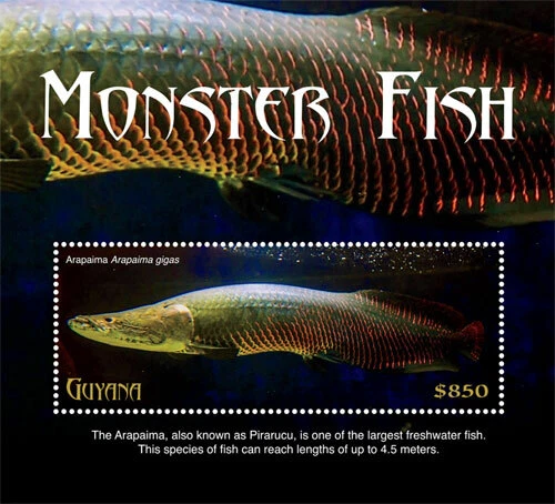 Guyana 2018 - Monster Fish, Arapaima - Souvenir Stamp Sheet - Scott #4594 - MNH - Image 1 of 1