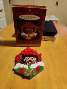 Punze - besonderer Hund - Fotohalter - personalisieren - Andenken Ornament - Bild 1 von 6