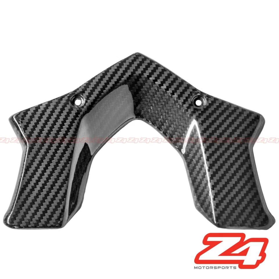 BMW R1200R R1200RS 2015-2018 fibra de carbono trasero equipaje carenado carrocería Foto 1 de 1