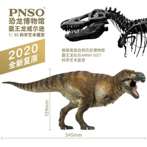 PNSO 1:35 Tyrannosaurus Rex Wilson Model Dinosaur Museum Scientific Art GK Decor - Imagen 1 de 11