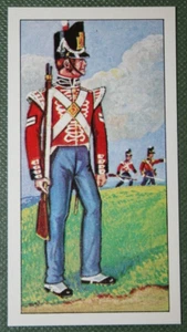 1ST REGIMENT OF FOOT GUARDS The Royal Scots Circa 1815 Illustrated Card FE28 - Picture 1 of 2