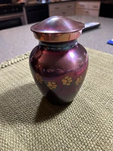 Pet Memorial Urn with Paw Print Design, Keepsake Ash Holder - Picture 1 of 1