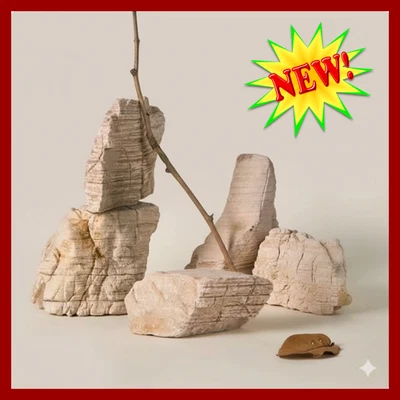 5 PC Photography Props Natural Stone Rocks Backdrop Riser Stand Jewelry Photo - Image 1 of 4