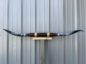 MOUNTED STEER HORNS 5 feet 3 Inch LONGHORN POLISHED MOUNT BULL COW - Picture 1 of 4