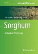 Sorghum Methods and Protocols 5352