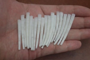 50 STCK. NATÜRLICHE GLATTE WEISSE DENTALIUM APRINUM STOSSZAHNSCHALEN 1 1/2" - 2" - Bild 1 von 3