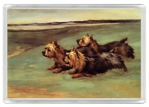 YORKSHIRE TERRIER HUNDE HUNDE KUNSTDRUCK NEUHEIT KÜHLSCHRANKMAGNET TOLLES GESCHENK - Bild 1 von 1