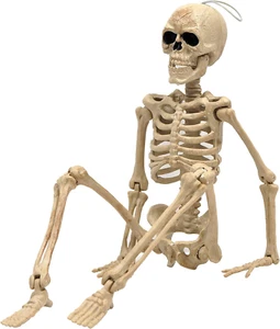 16" Halloween Skeleton,Full Body Skeleton with Posable Movable Joints for Haunte - Picture 1 of 12