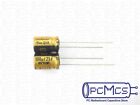 13 Pcs Nichicon 25V 100UF Fine-Gold FG for Audio Made in Japan Hi-Fi Capacitor