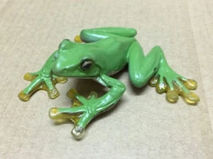Colección de figuras de animales Colorata - Asia Selva tropical rana árbol 6 cm - Imagen 1 de 2