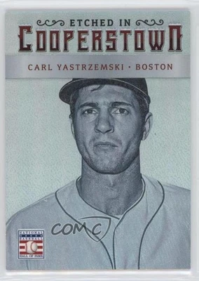 Panini Cooperstown 2015 grabado en holograma plateado/25 Carl Yastrzemski #10 patio Foto 1 de 2