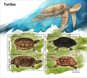 Turtles MNH Stamps 2023 Sierra Leone M/S - Picture 1 of 1
