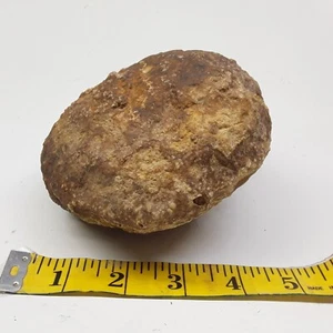 6" Rhyolitic Agate 1.9 pounds Natural Kentucky Geode Rock Crystal – Whole Raw - Picture 1 of 9