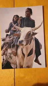 Niamey Niger West Africa  PostCard Post Card - Picture 1 of 2