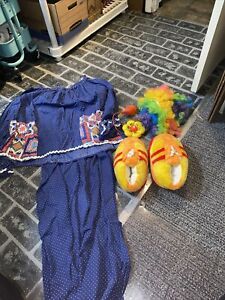 Handmade Blue  Clown Costume Adult Includes Clown Wig, Fake Flower , & Shoes
