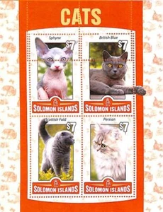 A6999 - SOLOMON ISLANDS, Error, 2016, MISPERF MINIATURE SHEET: Cats, Persian - Picture 1 of 1