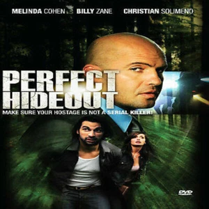 Perfect Hideout   (DVD)- You Can CHOOSE WITH OR WITHOUT A CASE - Picture 1 of 1