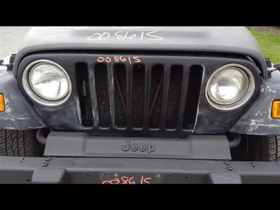 Grille Fits 97-06 WRANGLER 430726 - Image 1 of 4
