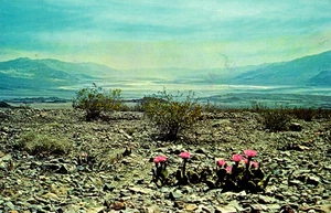 Hell's Gate Death Valley National Monument Postcard Posted 1984 - Picture 1 of 2