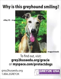 GREY2K USA Education Fund 1-Page MAGAZIN PRINT AD 2009 gorgeous Greyhound - Bild 1 von 1