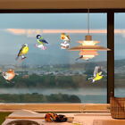 Naklejki na okna dla ptaków Zapięcia antykolizyjne (12szt)