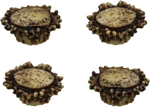 Pomelli per cassetto/armadio Old River Antler (confezione da 4) - 2 dimensioni di viti marrone  - Foto 1 di 5