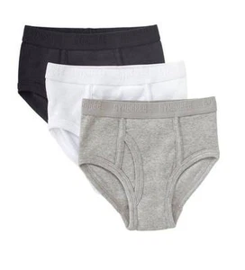 NWT BOY LOT GYMBOREE UNDERWEAR BRIEFS 3-PACK XS 3 4 NEW - Picture 1 of 1