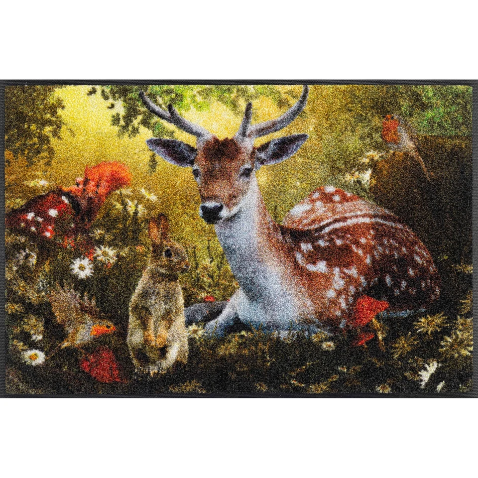 WASH + DRY Fußmatte 50 x 75 cm Motiv FOREST WHISPER Waldgeflüster - Bild 1 von 1