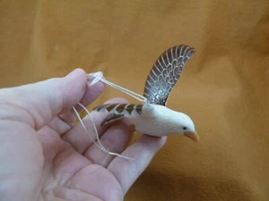 TNE-BIR-EA-291a) little Eagle bird eaglet ornament TAGUA NUT figurine wings - Picture 1 of 2