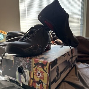 Size 11 - Air Jordan 14 Retro SE Black Ferrari - GREAT Condition - Picture 1 of 9