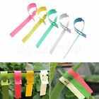 100pcs Plastic Garden Plant Tied Tags Labels Blank Display Flowers Pot Markers
