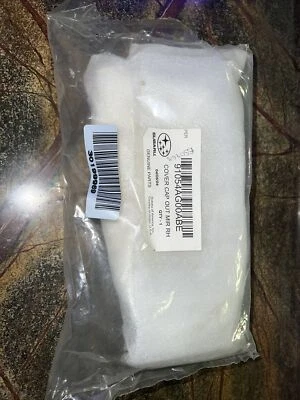 OEM NUEVO 05-2006 Subaru Legacy Outback Cubierta Derecha Tapa Espejo Exterior 91054AG00ABE Foto 1 de 4