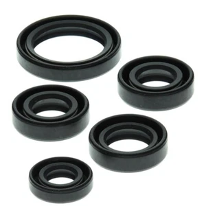 Engine Oil Seal Kit For Kawasaki KLF220 Bayou 1988-2002, KLF250 2003-2011 - Picture 1 of 1
