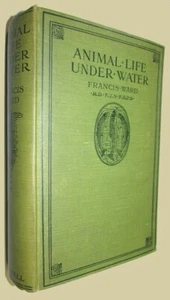 WARD, Francis. Animal Life Under Water. 1921. - Picture 1 of 2