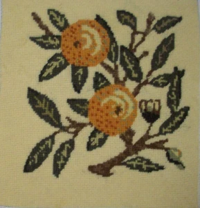 Beth Russell Fruit Collection naranja acabado bordado lona - Imagen 1 de 3