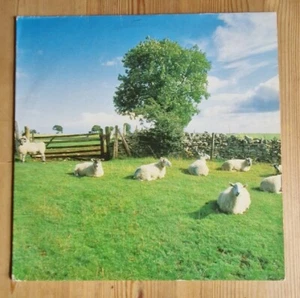 KLF Chill Out 1st UK Press Vinyl LP KLF Communications JAMSLP5 1990 - Foto 1 di 13