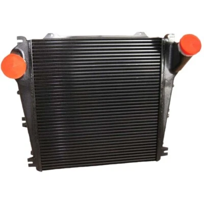 Charge Air Cooler Fits Freightliner 97-04 FL50 FL60 FL7 BHT1SA00278 BHT2AA00126 Foto 1 de 2