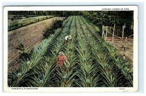 1940 Havanna Kuba Ananas Plantage Lithographie Postkarte - Bild 1 von 2