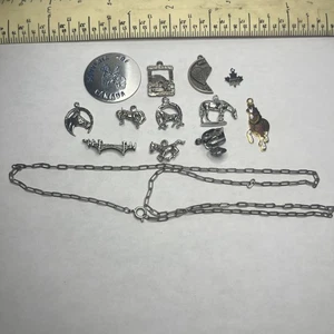 Vintage - Now 12 Piece Horse Equestrian and other Charms Craft Jewelry Making - Picture 1 of 13